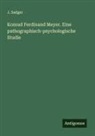 J. Sadger - Konrad Ferdinand Meyer. Eine pathographisch-psychologische Studie