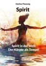 Günther Plamenig - Spirit