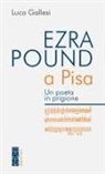Luca Gallesi - Ezra Pound a Pisa. Un poeta in prigione