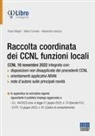 Paola Aldigeri, Maria Correale, Alessandra Varacca - Raccolta coordinata dei CCNL. Funzioni locali