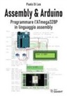 Paolo Di Leo - Assembly & Arduino. Programmare l'ATmega328P in linguaggio assembly