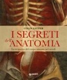 Collin Salter - I segreti dell'anatomia. La scoperta del corpo umano nei secoli
