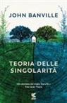 John Banville - Teoria delle singolarità