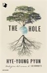 Hye-Young Pyun - The hole. Ediz. italiana