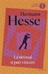 Hermann Hesse - La nevrosi si può vincere