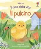 Lesley Sims, Anastasiia Bielik - Il pulcino