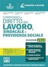 Rosa Del Prete, Valentina Ricchezza - Compendio di diritto del lavoro, sindacale e della previdenza sociale