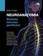 Paola Alberti, Rosario Barone, Marina Boido, Francesco Cappello, Guido A. Cavaletti, Michela Ferrucci... - Neuroanatomia. Sistema nervoso periferico