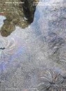 Giorgina Bertolino, Francesca Comisso, Cecilia Guida, Alessandra Pioselli - Bright Ecologies. Caretto/Spagna: experiences, forms, materials. Ediz. italiana e inglese