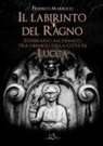 Federico Marrucci - Il labirinto del ragno. Itinerario alchemico tra i simboli della città di Lucca
