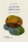 Emmanuel Iduma, Maaza Mengiste - La forma della luce. Riflessioni sulla fotografia