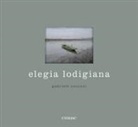 Gabriele Cecconi, Laura Covelli, Alberto Prina - Elegia lodigiana