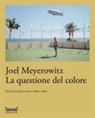Joel Meyerowitz, Robert Shore - La questione del colore