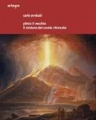 Carlo Avvisati - Plinio il Vecchio. Il mistero del cranio ritrovato