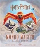 Matthew Reinhart, Diego Abreu - Harry Potter. Mondo magico. Il libro pop-up