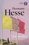 Hermann Hesse - Non uccidere (considerazioni politiche)