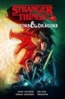 Jody Houser, Kyle Lamber, Jim Zub - Stranger things e Dungeons & Dragons
