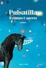 Pulsatilla - Il campo è aperto