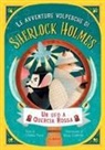 Cristina Marsi, Silvia Crocicchi - Un ufo a quercia rossa. Le avventure volpesche di Sherlock Holmes