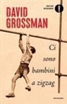 David Grossman - Ci sono bambini a zigzag