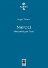 Sergio Zazzera - Napoli. Istruzioni per l'uso