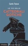 Carlo Tosco - Le vie delle cattedrali gotiche