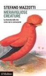 Stefano Mazzotti - Meravigliose creature. La diversità della vita come non la conosciamo