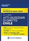 Giancarlo Geraci - Atti giudiziari di diritto civile