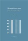 Stefano Cadoni - Metamorfosi del muro. Principi e strumenti per il progetto contemporaneo. Alberto Campo Baeza, il Consiglio Consultivo a Zamora