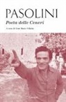 Pier Paolo Pasolini, Gian Mario Villalta - Poeta delle ceneri