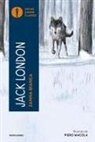Jack London, Piero Macola - Zanna Bianca