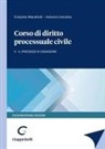 Antonio Carratta, Crisanto Mandrioli - Il processo di cognizione