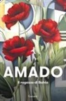 Jorge Amado - Il ragazzo di Bahia