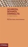Maurizio Catino, Sonia Stefanizzi - Sicurezza, devianza, criminalità. Un'indagine empirica