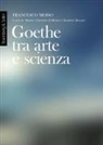 Francesco Moiso, Beatrice Beccari, Matteo Vincenzo D'Alfonso - Goethe tra arte e scienza. Lezioni dell'anno accademico 2000-2001
