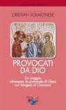 Cristian Solmonese - Provocati da Dio. Un viaggio attraverso le domande di Gesù nel Vangelo di Giovanni