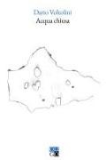 Dario Voltolini - Acqua chiusa