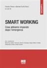 Gabriele Pacifici Nucci, Flaviano Peluso - Smart working. Cosa abbiamo imparato dopo l'emergenza