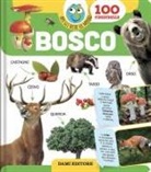 Anna Casalis - Bosco. 100 finestrelle