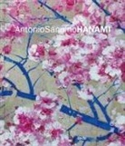 Angelo Crespi - Antonio Sannino. Hanami. Ediz. italiana e inglese