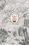 Christelle Dabos - L' Attraversaspecchi: Fidanzati dell'inverno-Gli scomparsi di Chiardiluna-La memoria di Babel-Echi in tempesta-Extra