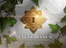 Cristiano Marchesi, Giovanni Calore, Tea Project - La città bianca. L'artbook del Regno Nascosto di Tolkien