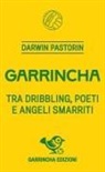 Darwin Pastorin - Garrincha