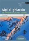 Marco Romelli, Francesco Cappellari - Alpi di ghiaccio. Vie classiche con picche e ramponi