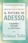 Eckhart Tolle - Come mettere in pratica il potere di adesso. Gli insegnamenti, le meditazioni e gli esercizi di Il Potere di Adesso