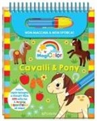 Cavalli & pony. Magicolor