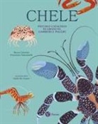 Marco Colombo, Francesco Tomasinelli, Giulia De Amicis - Chele. Piccolo catalogo di granchi, gamberi e paguri