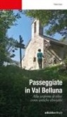 Flavio Faoro - Passeggiate in Val Belluna. Alla scoperta di cento antiche chiesette