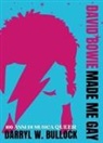 Darryl W. Bullock - David Bowie made me gay. 100 anni di musica queer