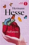 Hermann Hesse, Volker Michels - Sull'amore